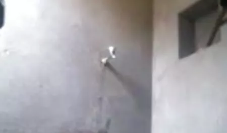 मैंने अपना स्पर्म खाया सेक्सी मूवी सेक्सी पिक्चर
