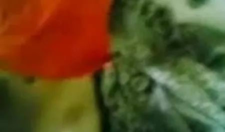 उस आदमी ने एक गोरी गोरी सेक्स फिल्म हिंदी मूवी को तला