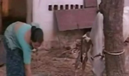 बैरक में भव्य सुंदरता सेक्सी हिंदी फिल्म बीएफ