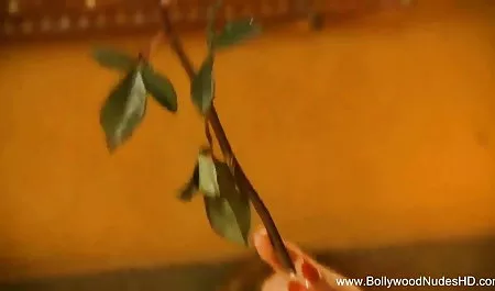 लड़की योनि के साथ खेल रही है हिंदी पिक्चर सेक्सी हिंदी पिक्चर