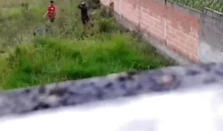 नशे में हलीज सेक्सी फिल्म हिंदी में चाहिए और ट्रैडरोम