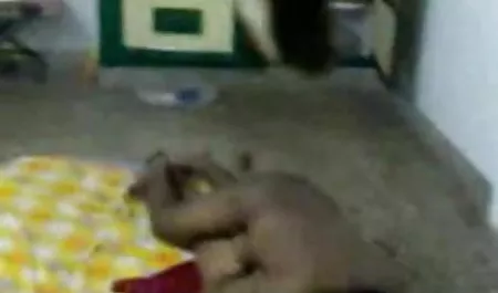 संचिका कुतिया 2 सदस्यों हिंदी सेक्सी फिल्म कॉमेडी के साथ मज़ा है