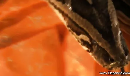 ट्रक ड्राइवरों एक युवा सुनहरे बालों वाली गड़बड़ वीडियो सेक्सी फिल्म हिंदी में